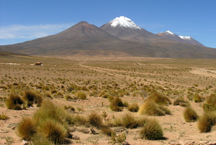 bolivia